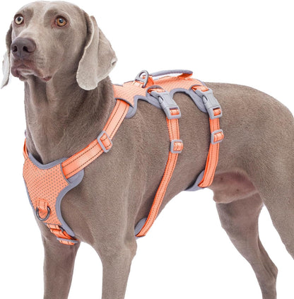 Huntboo Escape Proof Harness, No Slip Dog Harness Escape Proof, Fully Reflective Harness with Handle, Breathable, Durable, Adjustable Vest for Medium Dogs Walking and Training Gear (Black, M)21