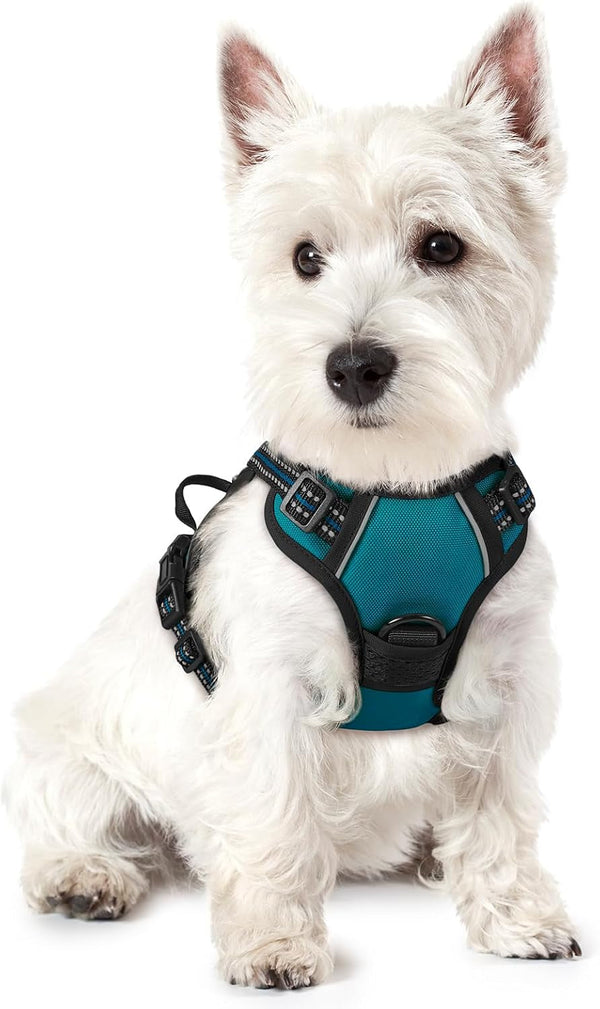 Rabbitgoo Dog Harness, No Pull for Large Dogs with 2 Leash Clips, Pet Vest | No Choke with Handle, Adjustable Soft Padded, Reflective, Easy Control for Walking, Black, Large18