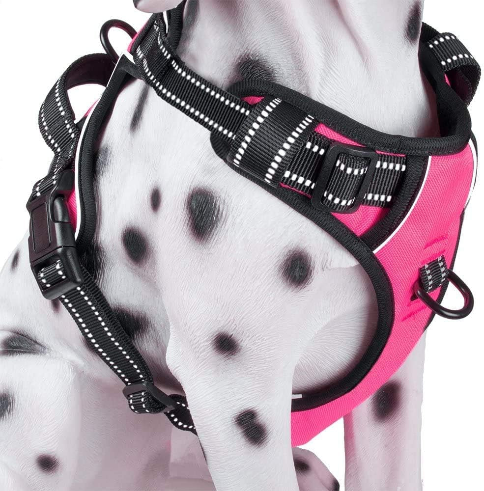 poypet-no-pull-dog-harness-reflective-comfortable-vest-harness-with-front-back-2-leash-attachments-and-easy-control-handle-adjustable-soft-padded-pet-vest-for-small-medium-large-dogs-mint-blue-m
