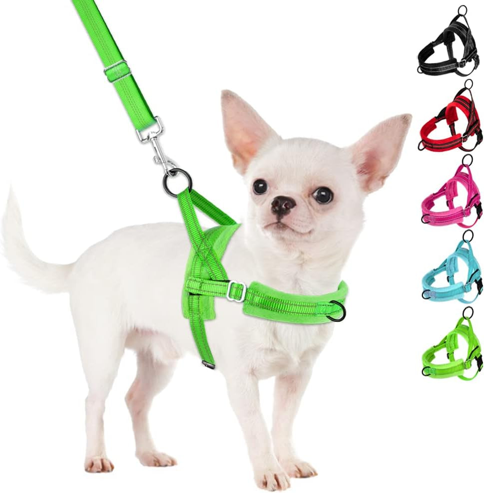 slowton-no-pull-small-dog-harness-and-leash-set-puppy-soft-vest-harness-neck-chest-adjustable-reflective-lightweight-harness-anti-twist-pet-lead-combo-for-small-medium-dogs-fuchsia-xxs
