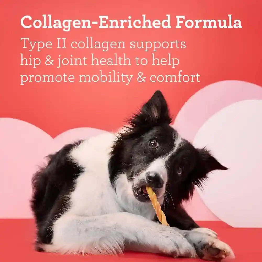 dreambone-collayums-twists-plus-collagen-chews-for-dogs-10-count-treat-your-dog-to-rawhide-free-chews-made-with-chicken-vegetables-and-peanut-butter