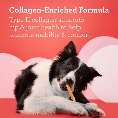 Dreambone Collayums Twists plus Collagen Chews for Dogs, 10 Count, Treat Your Dog to Rawhide-Free Chews Made with Chicken, Vegetables and Peanut Butter8
