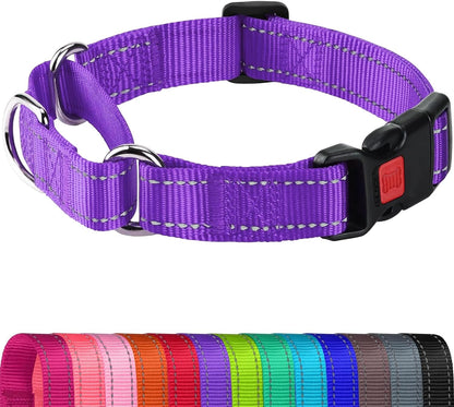 Joytale Martingale Collar for Dogs, Escape Proof No Pull, Hotpink, M | Gentle Cinch Stops Pulling without Choking, Safety Lock Buckle, Reflective Stitching for Night Walks, Soft Nylon13