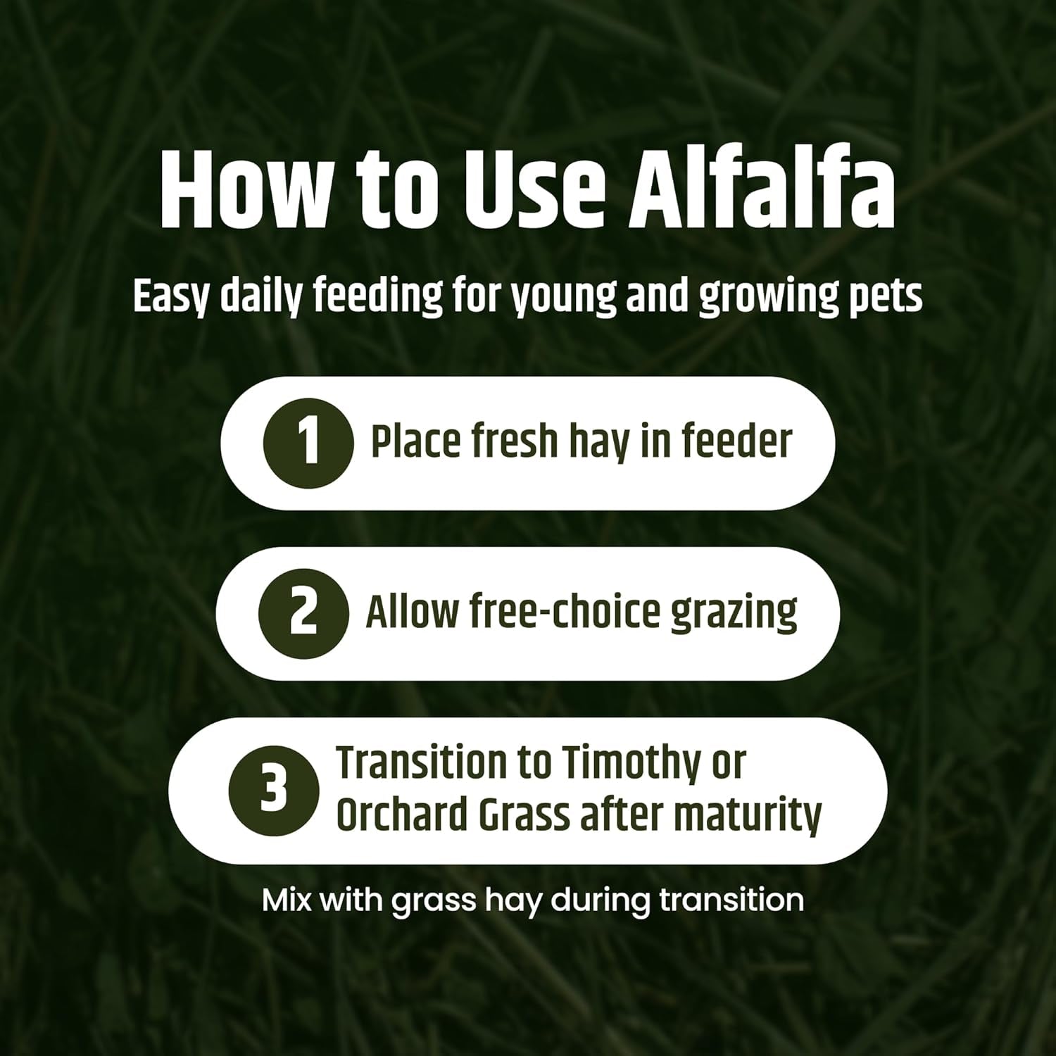 high-desert-alfalfa-hay-protein-rich-soft-leaf-food-for-young-growing-animals-natural-rabbit-food-and-guinea-pig-hay-supports-digestive-health-small-pet-supplies-fresh-hand-packed-5-lb-box-protein-rich-soft-leaf-forage-ideal-for-growing-kits-and-nursing-mothers-great-calcium-source-hand-packed-low-dust