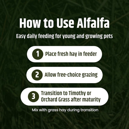 High Desert Alfalfa Hay, Protein Rich Soft Leaf Food for Young Growing Animals, Natural Rabbit Food and Guinea Pig Hay, Supports Digestive Health, Small Pet Supplies, Fresh Hand Packed 5 Lb Box | Protein Rich Soft Leaf Forage, Ideal for Growing Kits and Nursing Mothers, Great Calcium Source, Hand Packed, Low Dust7