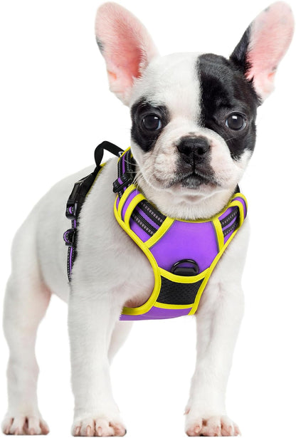 Rabbitgoo Dog Harness, No Pull for Large Dogs with 2 Leash Clips, Pet Vest | No Choke with Handle, Adjustable Soft Padded, Reflective, Easy Control for Walking, Black, Large27