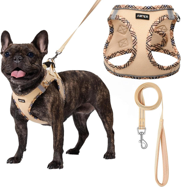 AMTOR Small Dog Harness with Leash Set, No Escape Easy Walk Puppy Harnesses for Training Walking, Step-In Reflective Soft Dogs Vest for XS S Medium Extra-Small Large Sized Dog(Green,S)14
