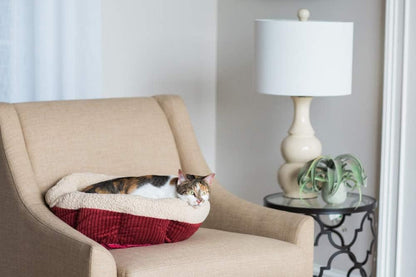 Petmate Aspen Pet Self Warming round Bed, 19.5 Inches, Barn Red and Cream | Reflects Body Heat Back, No Electricity Needed, Cushioned Surface, Cozy Resting Spot for Cats and Small Dogs Indoors Today2