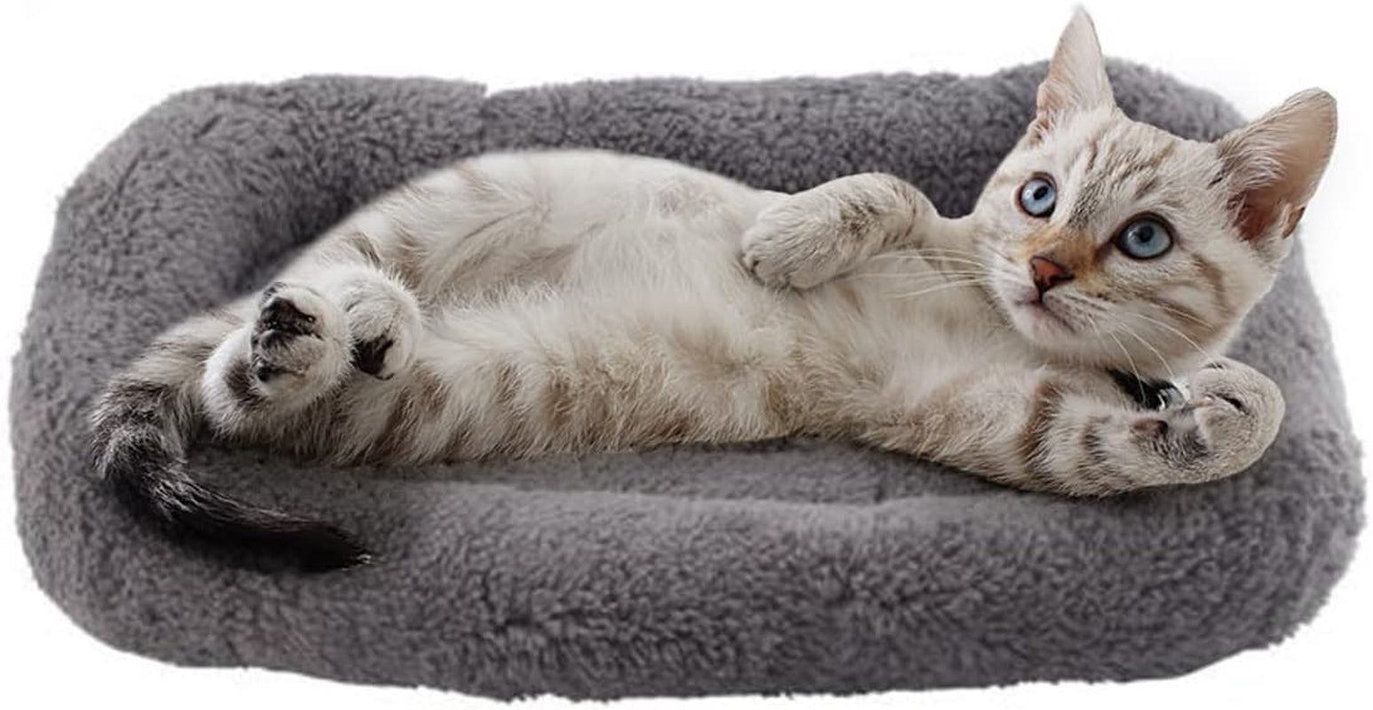 small-cat-bed-mat-plush-pet-cushion-15-x-10-cat-pad-with-pillow-around-for-indoor-pets-puppy-curl-sleep-self-warming-mat-for-crate-carrier-outdoor-pet-houses-non-slip-bottom-small
