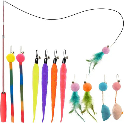 Cat Toys for Indoor Cats, 13 Packs Interactive Cat Wand Toy Set | Kitten Toys Feather Toys & Teasers, Fun Cat Toys for Exercise, Playtime and Boredom Relief9