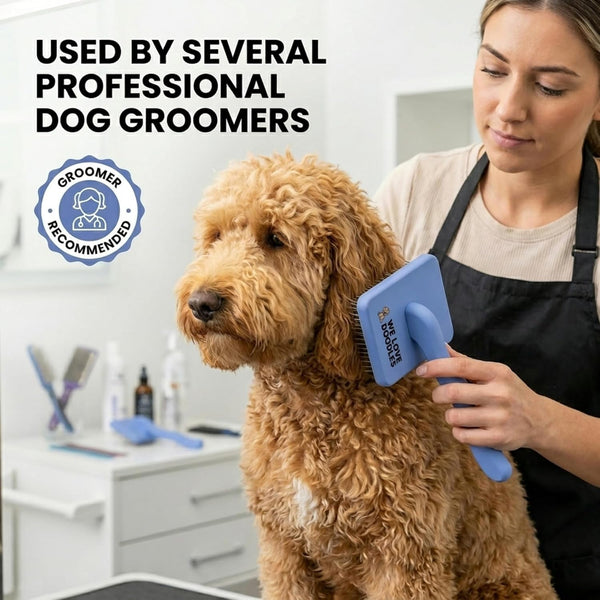 Slicker Brush for Dogs, Pet Grooming Brushes for Doodles & Poodles, Large | Best Brush for Long Haired Dogs, Dematting Comb & Deshedding Tools for Goldendoodle Coats, Puppy Matting Grooming Supplies4