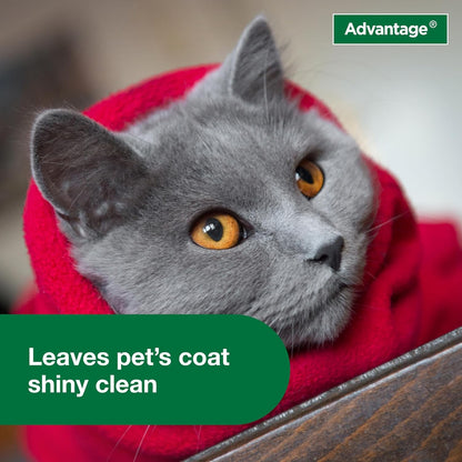 Advantage Cat Flea & Tick Shampoo for Kittens & Adult Cats | Kills Fleas & Ticks | 8 Oz.5