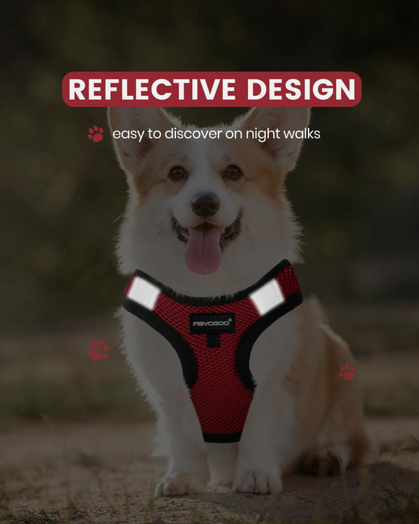 FAYOGOO Service Dog Vest for Small Dogs - Lightweight Dog Harness with 6PCS Removable Patches - Puppy Harness and Leash Set for Walking,Training4