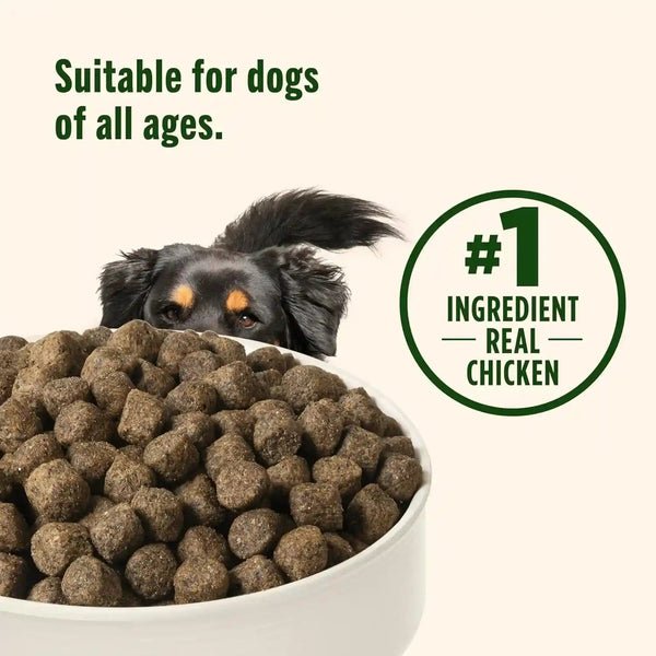 Nutrish Grain Free Chicken Dry Dog Food, 26 Lb. Bag, (Rachael Ray) | Made with Sweet Potatoes to Support a Healthy Digestion, No Added Grain or Gluten Ingredients or Artificial Preservatives7