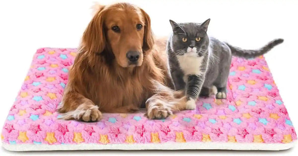 Mora Pets Dog Crate Pad - Ultra Soft Pet Bed with Cute Star Print, Washable Mat for Large Medium Small Dogs, Reversible Fleece Kennel Liner, Cat Bed 23 X 18 Inch Brown12
