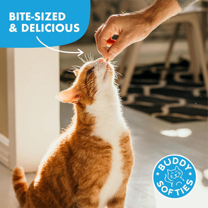 Buddy Biscuits Soft & Chewy Grain Free Cat Treats, Chicken, 3 Oz. Pouch4