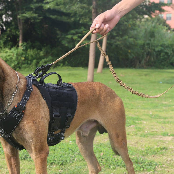 ICEFANG Tactical Dog Leash with Quick-Release Metal Clasp,Bungee-Dog Lead | with 2 Control Handles,Hands Free D-Ring ,Reflective ,4Ft Length for Medium Large Dogs, Brown2