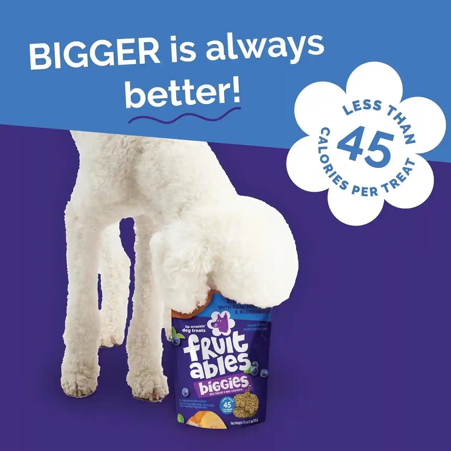 fruitables-biggies-dog-biscuits-healthy-treats-for-dogs-doggie-biscuits-crunchy-pumpkin-treats-made-without-wheat-corn-and-soy-made-in-the-usa-pumpkin-and-blueberry-flavor-16oz