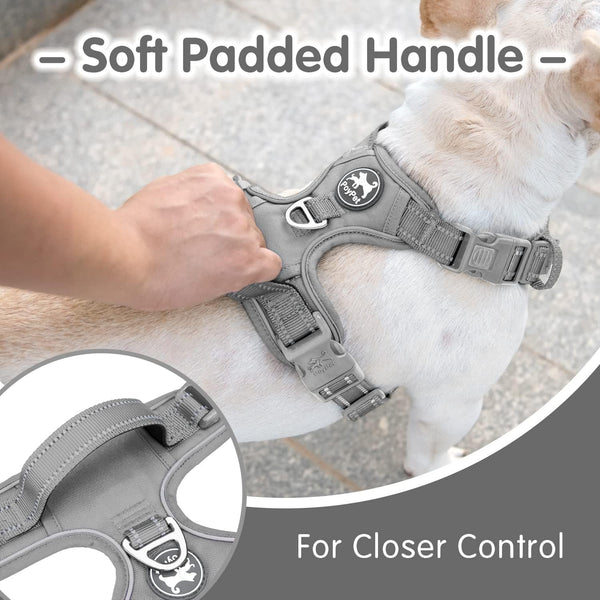 Poypet No Pull Dog Harness and 5 Feet Leash Set, Release on Neck Reflective Adjustable Pet Vest, Front & Back 2 D-Ring and Soft Padded Pet Harness with Handle for Small to Large Dogs(Grey,L)3
