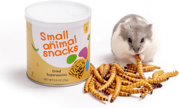 Niteangel Small Animal Snack & Treats - Dried Worms & No Additive | Delivers Essential Vitamins & Minerals- Small Animal Natural Treat for Dwarf Syrian Hamsters Gerbils Mice Degus or Small Pets1