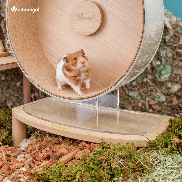 Niteangel Anti-Slide Hamster Wheel Platform: Medium Size & Elevates Height4