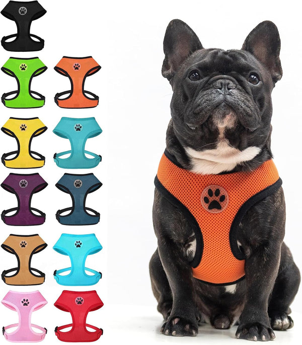 BINGPET Small Dog Harness, No Pull Dog Harness Small Sized Dogs, Soft Light Breathable Mesh Puppy Vest with Safety Buckle-Adjustable Step in Pet Harnesses for Easy Walking, Running, Training12