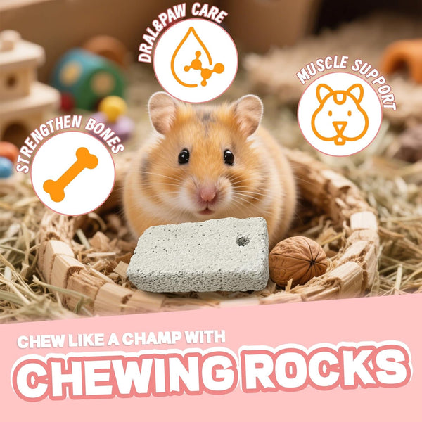 18 Pcs Small Animal Pet Lava Bites Chews Toy Mineral Calcium Stone Bunny Teeth Grinding Block for Hamster Chinchilla Rabbit Squirrel Rat Parrot Guinea Pig3