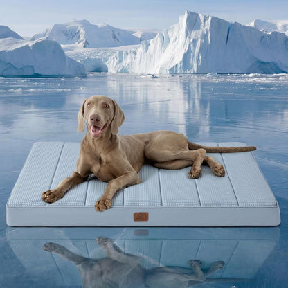 Bedsure Washable Dog Beds Large Sized Dog with Comfy Sherpa, 36X27In Grey | Orthopedic Egg Crate Foam,Comfort Support Flat Rectangle Pet Mat,Non-Slip Bottom,Removable Cover,For Large Breed up to 55 Lbs10