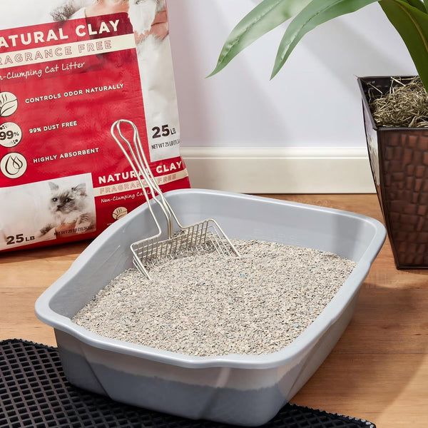 Non-Clumping Clay Cat Litter Unscented 11.34 Kg Bag | Unscented Formula, Non-Clumping, 25 Lb (11.34 Kg), Clay Litter, 1 Count2