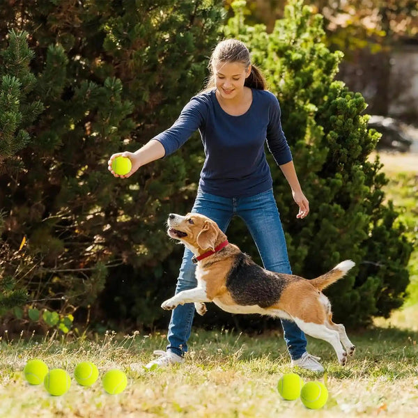 Treeroot 16/30/40/60/80 Pcs Tennis Balls, High Elasticity Tennis Balls Bulk, Comes with a Portable Mesh Bag, Tennis Ball for Dogs, Suitable for Beginner Training Ball, Durable & Bounce9