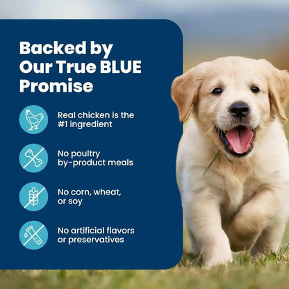 Blue Buffalo Life Protection Formula Chicken Puppy Dry Dog Food, 5 Lb | with DHA for Brain Development, Real Chicken #1 Ingredient, Antioxidant-Rich Lifesource Bits, Promotes Healthy Muscle Growth7