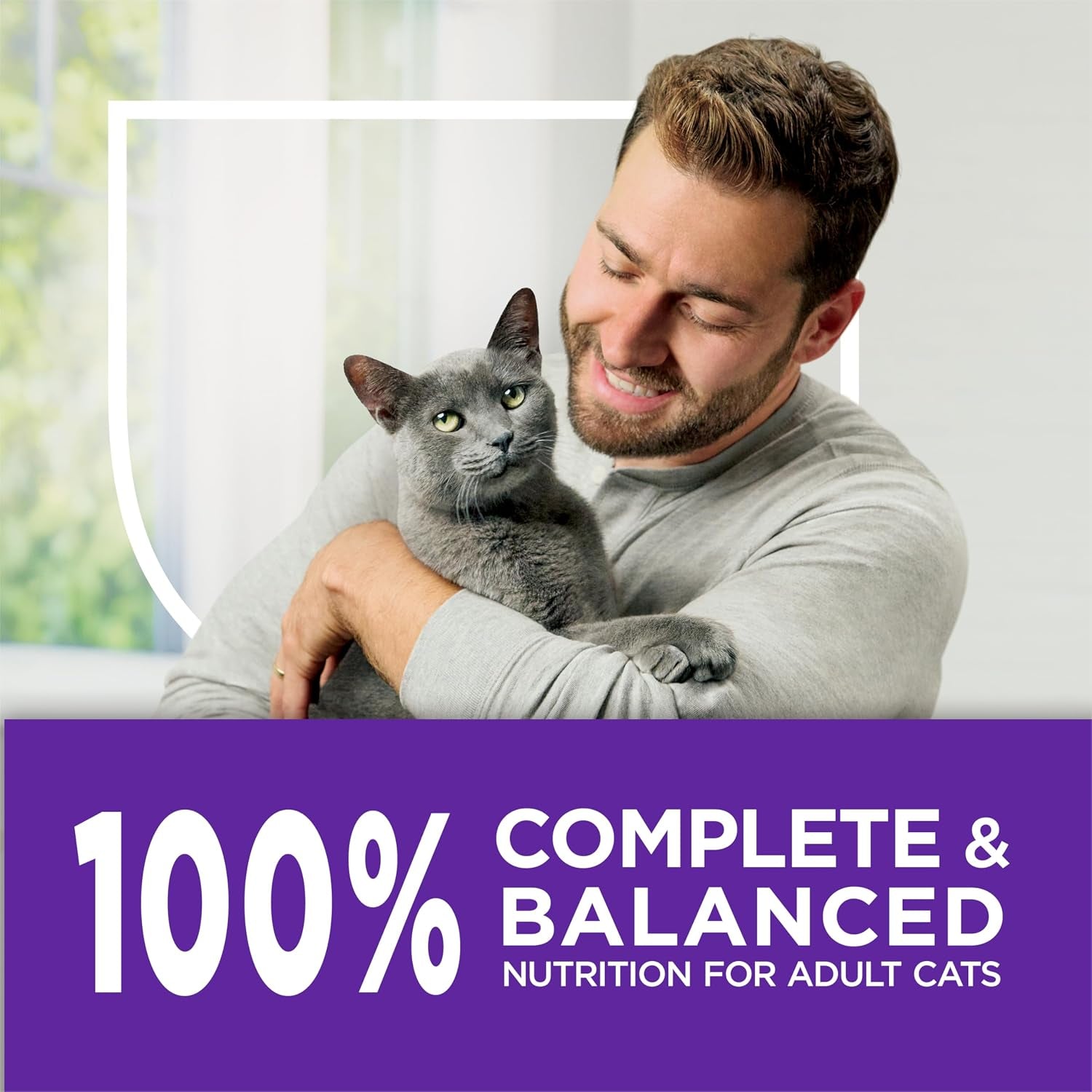 purina-cat-chow-gentle-sensitive-stomach-and-skin-dry-cat-food-with-turkey-13-lb-bag