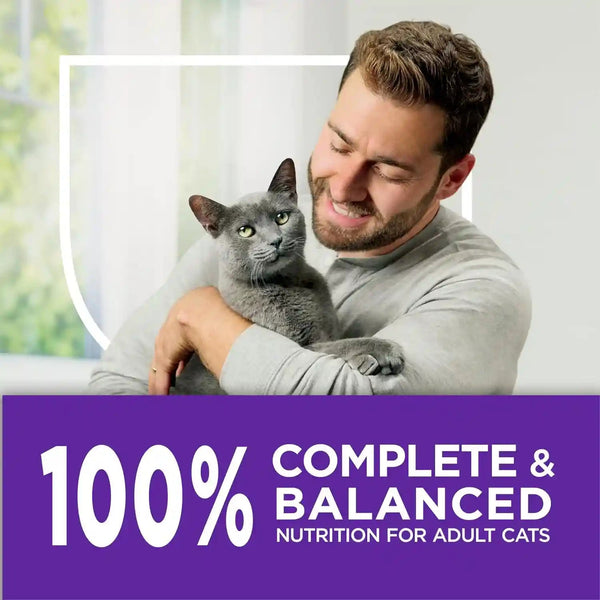Purina Cat Chow Gentle Sensitive Stomach and Skin Dry Cat Food with Turkey - 13 Lb. Bag9