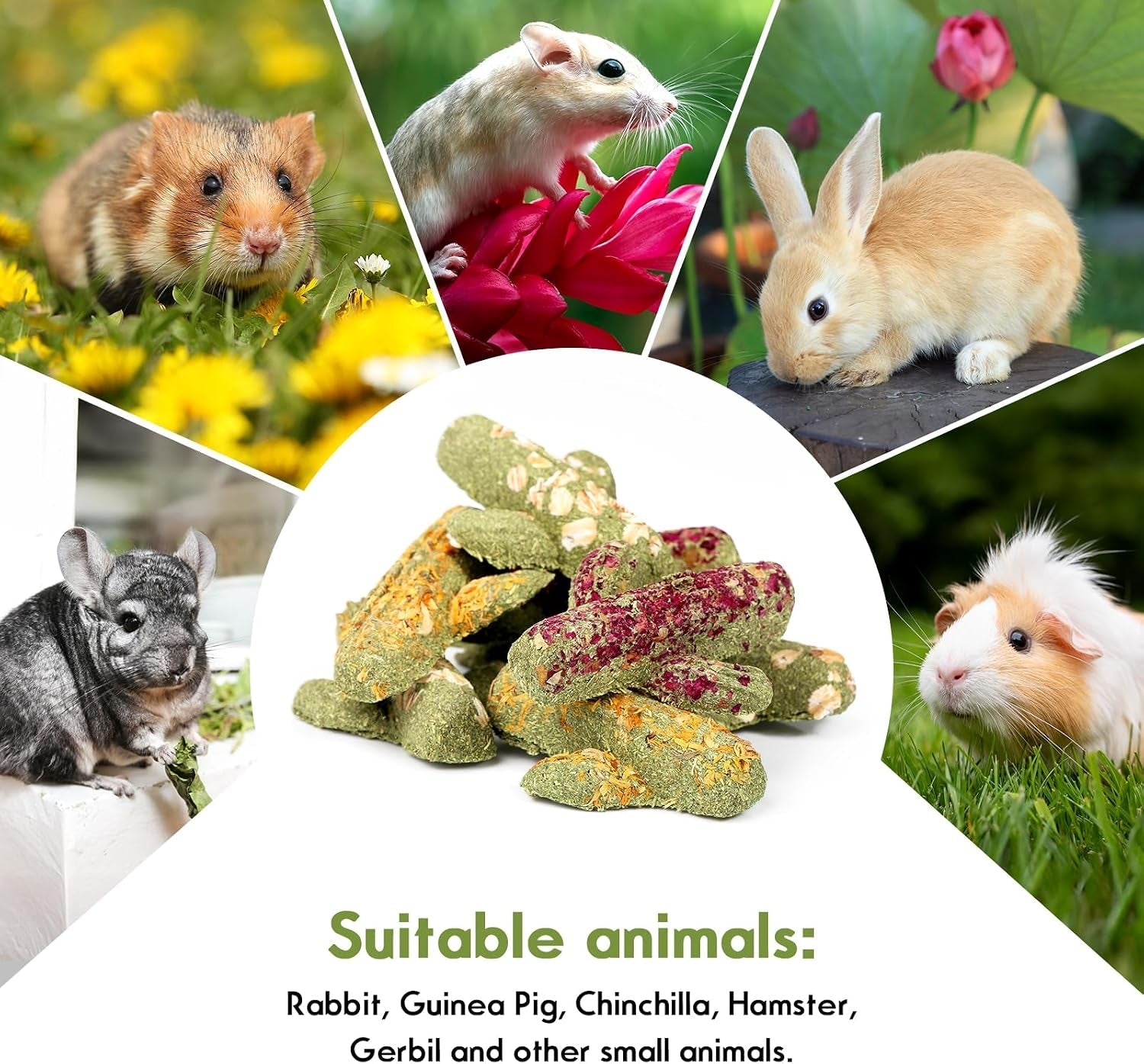 abizoo-rabbit-chew-toys-natural-timothy-hay-oat-bunny-treats-snack-bunny-chew-sticks-9-pcs-compressed-cactus-bunnies-enrichment-toys-for-rabbit-guinea-pig-hamster-chinchilla-gerbil-dental-care