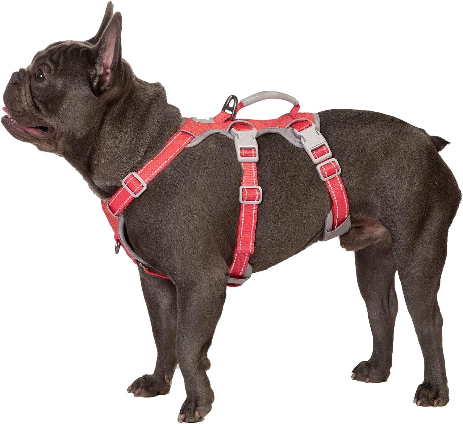 huntboo-escape-proof-harness-no-slip-dog-harness-escape-proof-fully-reflective-harness-with-handle-breathable-durable-adjustable-vest-for-medium-dogs-walking-and-training-gear-black-m