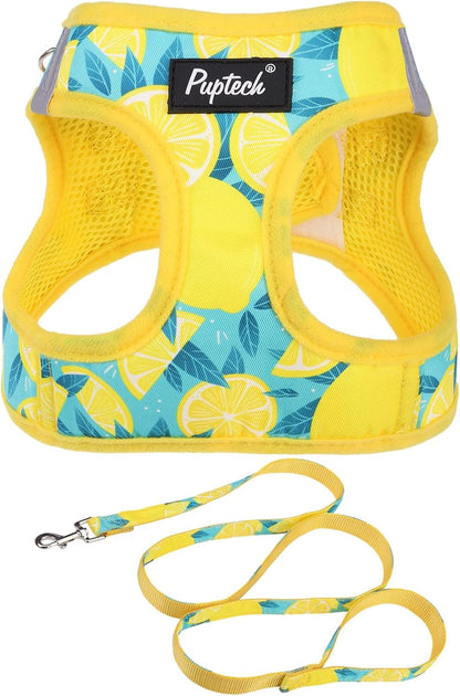 PUPTECK Dog Harness and Leash Set for Small Medium Dogs No Pull Step-In Soft Mesh Puppy Cat Vest Harnesses Reflective at Night, Green S13