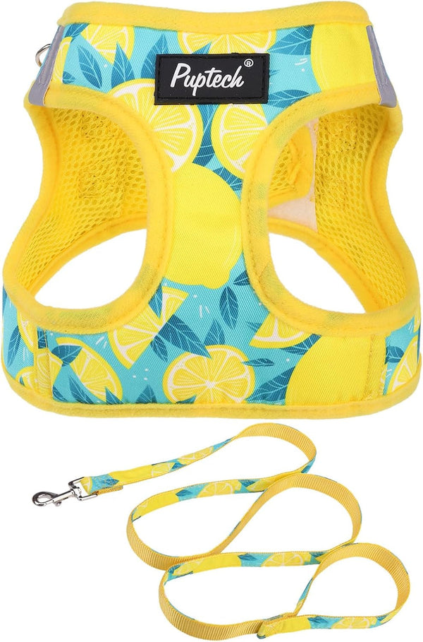 PUPTECK Dog Harness and Leash Set for Small Medium Dogs No Pull Step-In Soft Mesh Puppy Cat Vest Harnesses Reflective at Night, Green S13