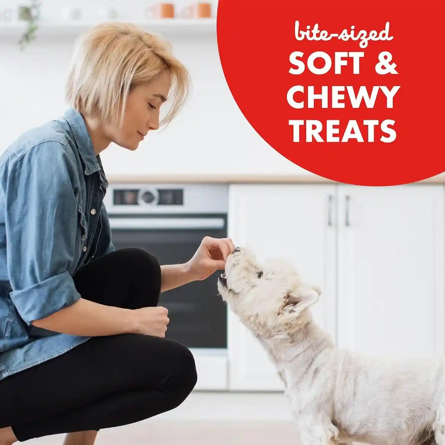 buddy-biscuits-trainers-training-bites-soft-chewy-dog-treats-beef-10-oz-pouch