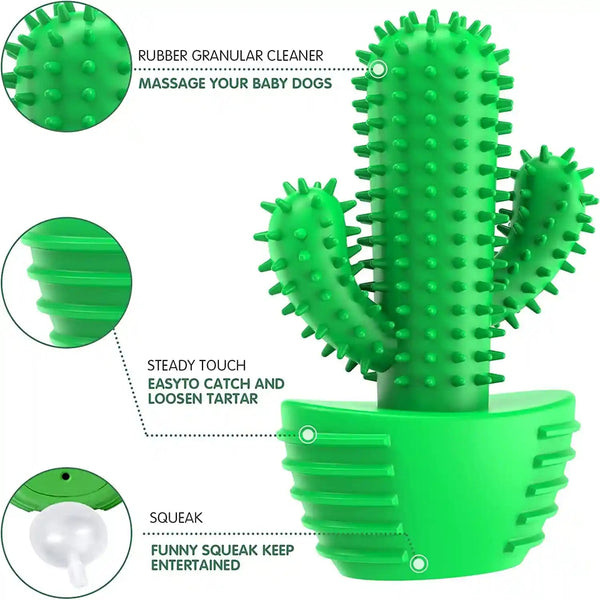 Pamlulu Dog Chew Toys Dog Toothbrush Stick Teeth Cleaning Brush Dental for Medium Large Dog, Puppy Christmas Easter Birthday Gifts, Outdoor Squeaky Toys for Aggressive Chewers Interactive Tough Toys5