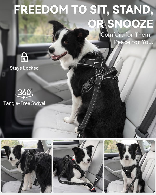 Joytale 3-In-1 Bungee Dog Seat Belt for Car, Medium and Large Dogs, Black | Seatbelt Buckle, LATCH, Cargo Hook, Shock-Absorbing, 360° Swivel Slide-To-Lock Zinc Buckle, for Distraction-Free Driving5
