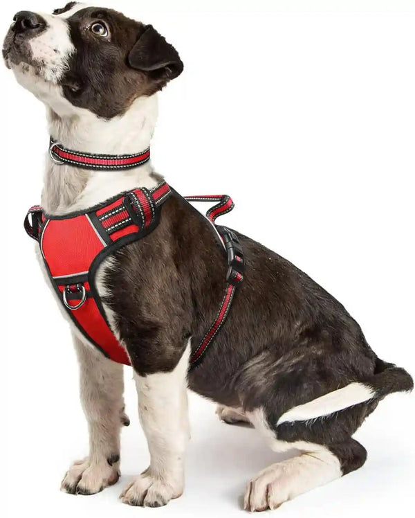 Dog Harness No Pull, Pet Harnesses with Dog Collar, Adjustable Reflective Oxford Outdoor Vest, Front/Back Leash Clips for Small, Medium, Large, Extra Large Dogs, Easy Control Handle for Walking14