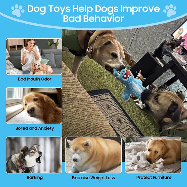 Bzonsmart Dog Squeaky Toys Plush Chew Toys for Small Medium Large Dogs | Double Sound |Non-Toxic Soft Plush |Double-Layer Reinforced Sewing| Suitable for Interactive.Playing, Chewing &Teething5