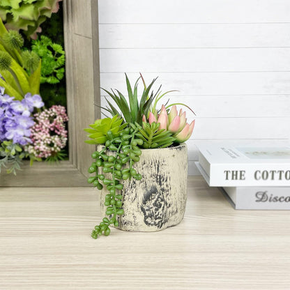 Succulents Plants Artificial, Faux Succulent Plants in Elegant Ceramic Pot Assorted Faux Potted Succulent Plant for Home Living Rooms Bedroom Décor (7.9)4