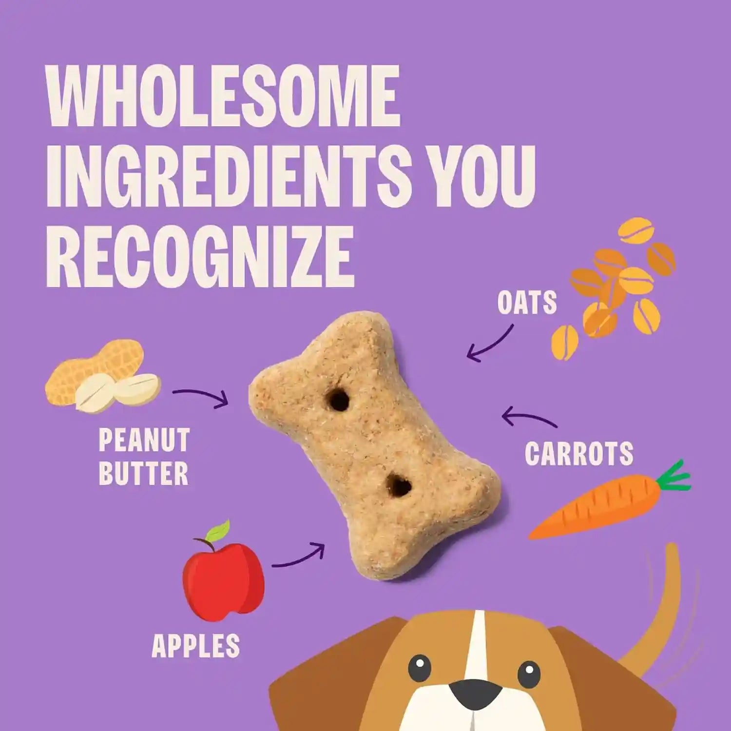 wellness-old-mother-hubbard-classic-p-nuttier-dog-biscuits-natural-training-treats-peanut-butter-flavor-mini-size-6-lb-box