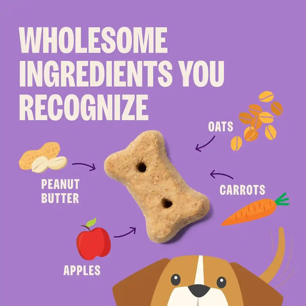 Old Mother Hubbard Wellness P-Nuttier Dog Biscuits, Natural, Training Treats, Peanut Butter Flavor, Mini Size, (20 Ounce Bag)3
