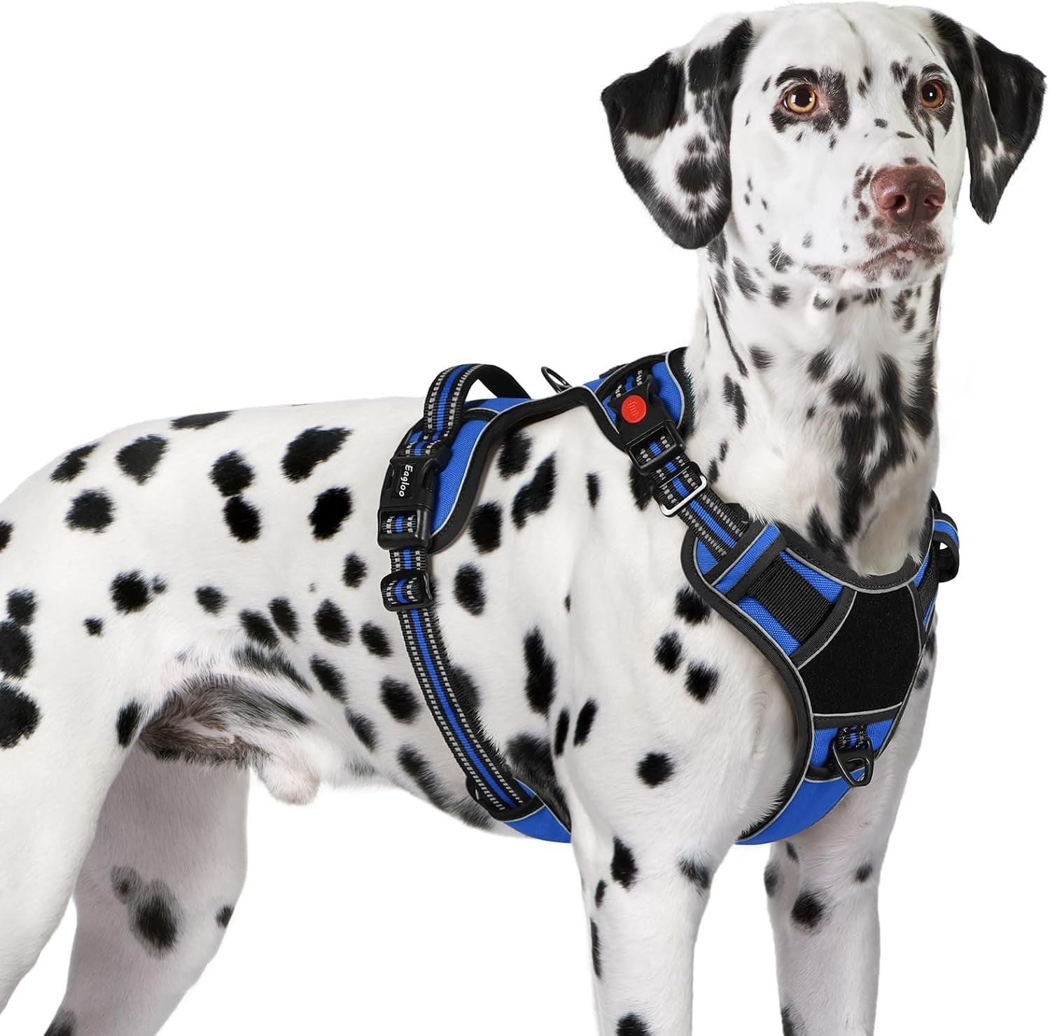 eagloo-dog-harness-no-pull-for-large-dogs-easy-on-off-with-3-buckles-no-choke-with-front-clip-adjustable-fit-molle-system-reflective-vest-easy-control-for-walking-black-large