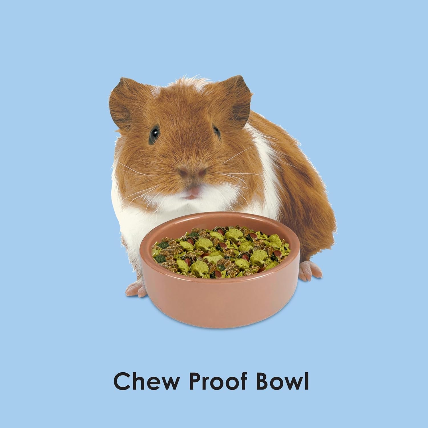 kaytee-stoneware-ceramic-pet-hamster-bowl-brown-3-inch