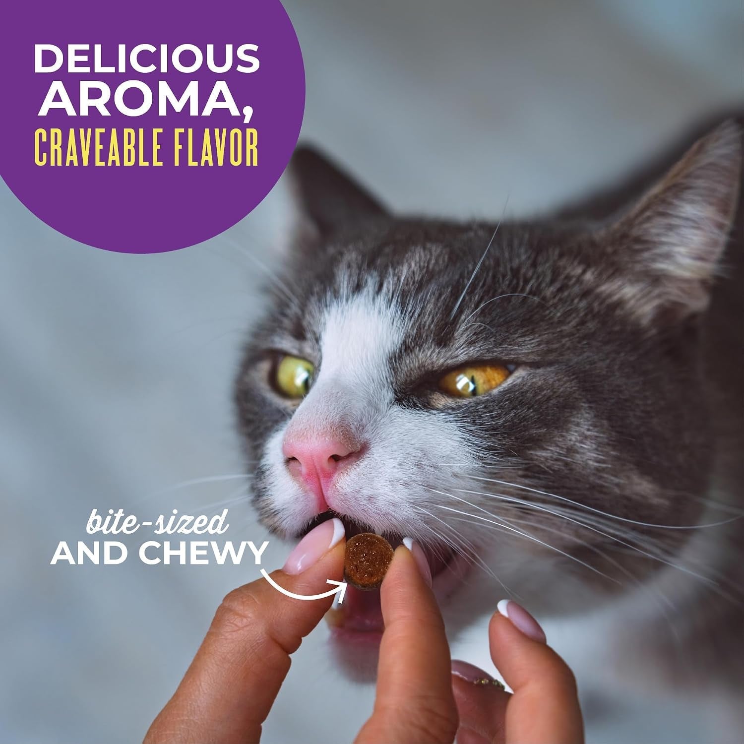 tiki-cat-soft-chewy-treats-chicken-flavor-3-calories-per-treat-with-grain-free-and-no-added-gluten-6-oz-pouch