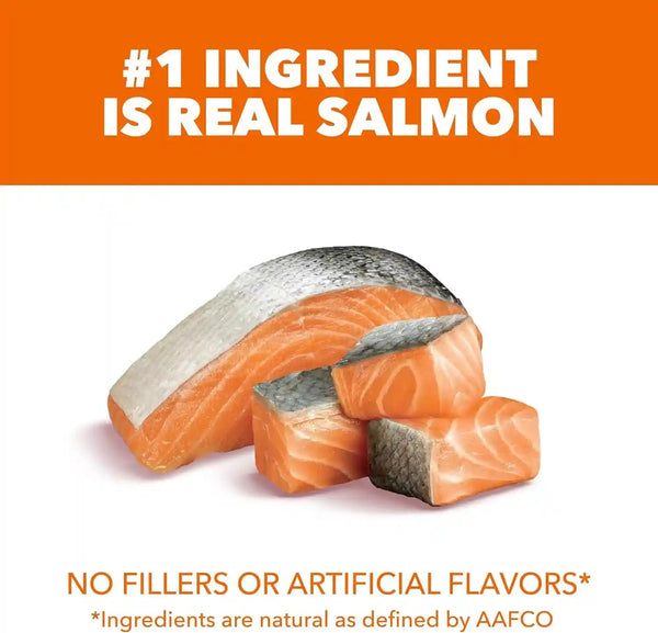 IAMS Proactive Health Healthy Adult Dry Cat Food, Salmon, 7 Lb | Veterinarian-Recommended, Real Salmon #1 Ingredient, Supports Muscle, Heart, Digestion, Skin & Teeth2