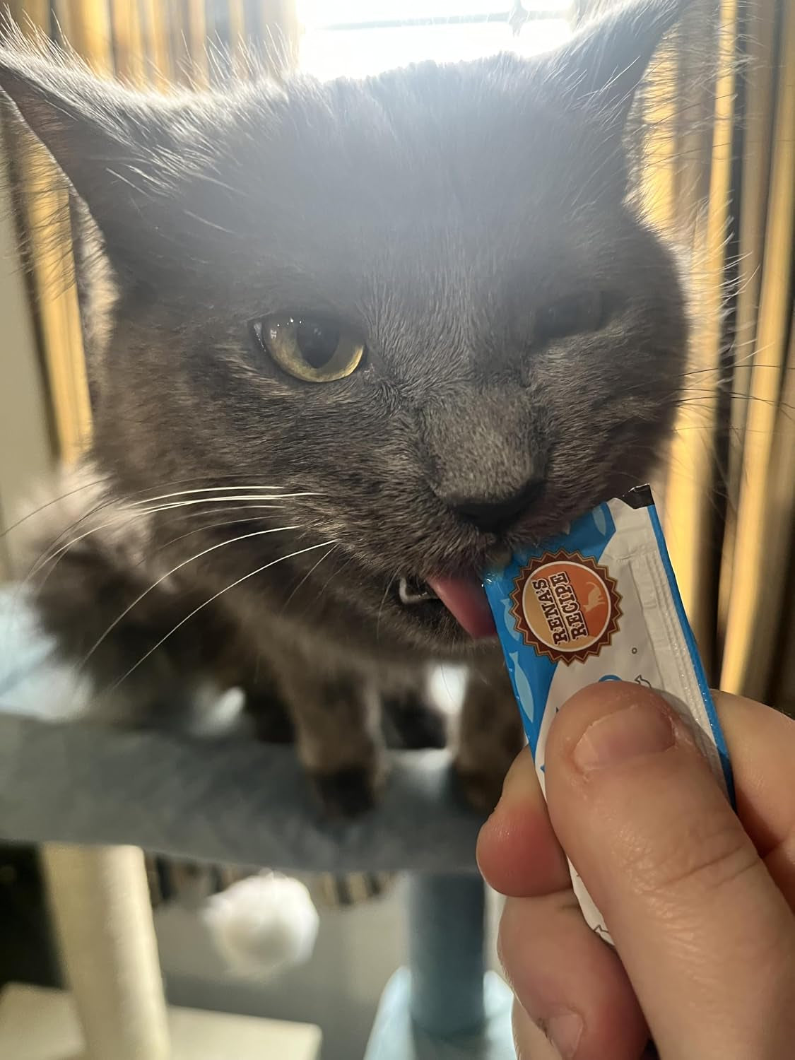 renas-recipe-kitty-licks-lickable-cat-treats-variety-pack-28-tubes-creamy-puree-cat-treats-in-7-delicious-flavors-including-tuna-and-chicken